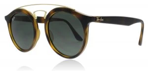 Ray-Ban 4256 Sunglasses Tortoise / Gold 710-71 49mm