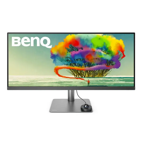 BenQ DesignVue 34" PD3420Q Quad HD LED Monitor