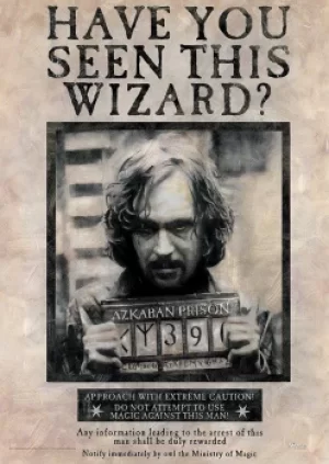 Harry Potter Wanted Sirius Black Poster multicolour