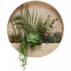 Premier Housewares Fiori Mixed Succulents in Wood Wall Planter