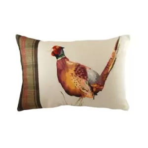 Evans Lichfield Hunter Pheasant Cushion Cover (43cm x 43cm) (Multicoloured)