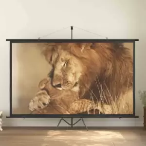 vidaXL 120" 16:9 Projection Projector Screen