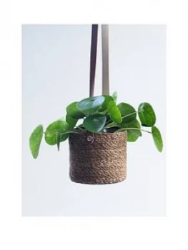 Ivyline Set 2 Gallo Seagrass Lined Hanging Planters