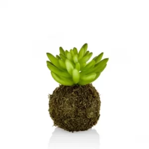 CCK0116 Green Succulent Artificial Plant