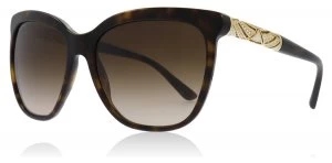 Bvlgari BV8173B Sunglasses Dark Havana 504-13 56mm