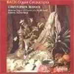 Bach: Organ Cornucopia