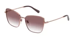 Dolce & Gabbana Sunglasses DG2275 12988H