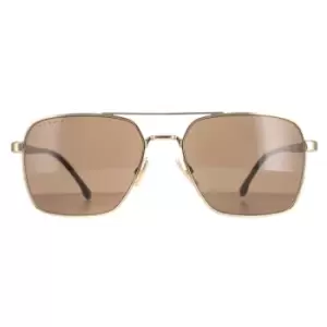 Aviator Rose Gold Brown 1045/S/IT