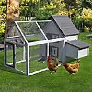 PawHut Chicken Coop D51-102 1120 x 1660 x 1200 mm Grey