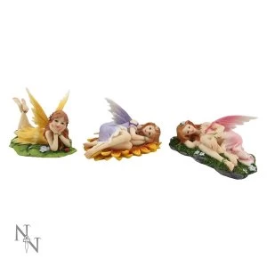 Floral Slumbers Pack Of 3 Fairy Figures