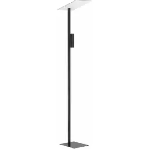 Loops - Floor Lamp Light Black Slim Stem Shade Flat Square Bulb GU10 2x5W Included