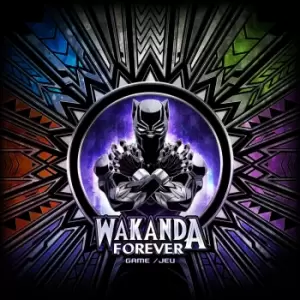 Marvel Wakanda Forever Dice Rolling Game