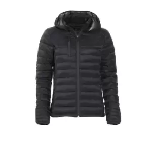 Clique Womens/Ladies Hudson Padded Jacket (XL) (Black)