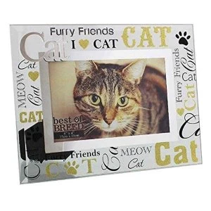 6" x 4" - Best of Breed Glass Cat Photo Frame