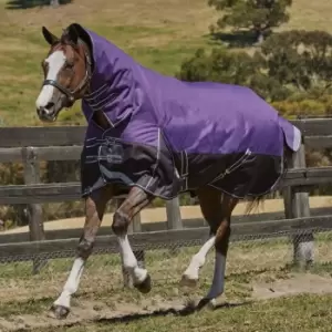 Weatherbeeta ComFiTec Plus Dynamic Combo Med Lite Turnout - Purple