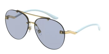 Dolce & Gabbana Sunglasses DG2272 02/72