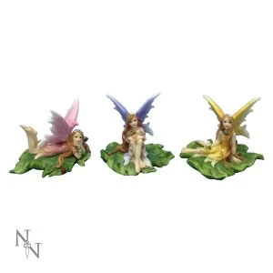 Fairies of Melody Pack Of 3 Fairy Figures