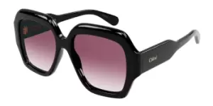 Chloe Sunglasses CH0154S 001