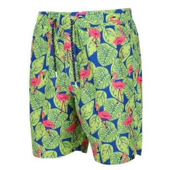 Regatta Hamza Swim Short - BriKiwiFlmgo