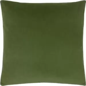 Sunningdale Velvet Square Cushion Olive, Olive / 50 x 50cm / Polyester Filled