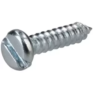 R-TECH 337099 Slotted Pan Head Self-Tapping Screws No. 4 13.0mm - P...