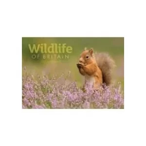 Wildlife of Britain A4 2022 Calendar