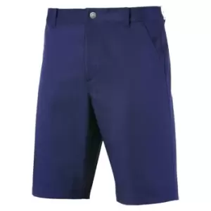 Puma Tech Shorts - Blue