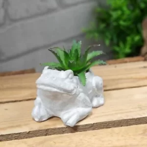 Mini Cement Frog Planter with Succulent