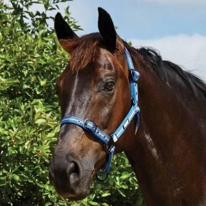 Roma Coordinating Headcollar - Grey/Blue/Grey