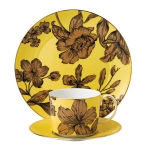 Wedgwood Vibrance 3 piece set Yellow