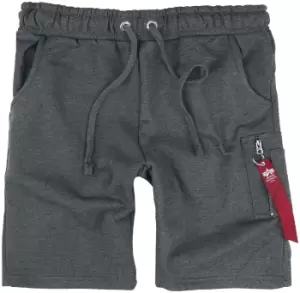 Alpha Industries X-FIT CARGO Shorts grey