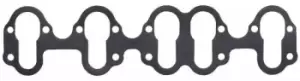 Inlet Manifold Gasket 816.507 by Elring