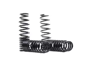 EIBACH Suspension Kit, coil springs HONDA E4020-140