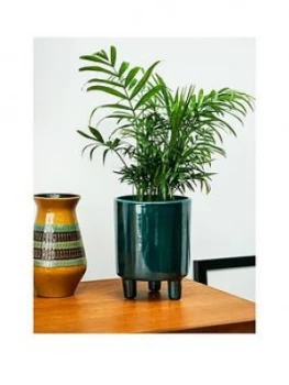 Ivyline Pisa Emerald Planter