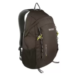 Regatta Survivor V4 25L Backpack - Green