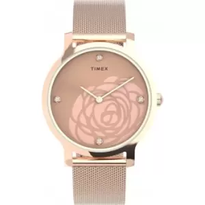 Ladies Transcend Rose Gold Watch TW2U98100