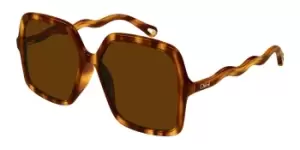 Chloe Sunglasses CH0086S 005