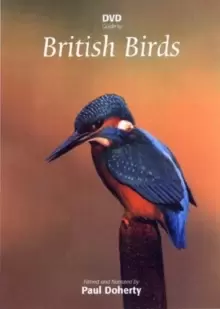 British Birds