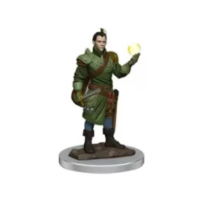 D&amp;D Icons of the Realms Premium Figures (W7) Male Half-Elf Bard