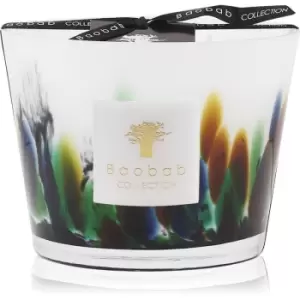 Baobab Rainforest Amazonia Scented Candle 500g