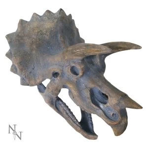 Triceratops Head Large