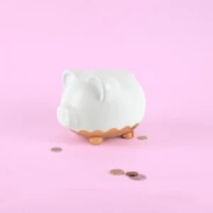 XL Rose Gold Piggy Bank