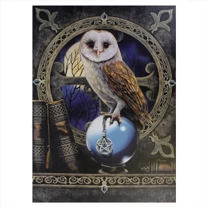 Large Spell Keeper Canvas Picture by Lisa Parker