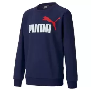 Puma Essential Sweater Child Boys - Blue