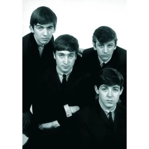 The Beatles - The Beatles Portrait Postcard