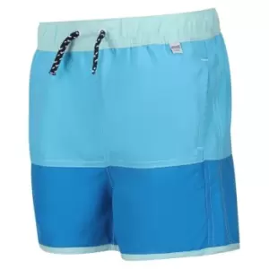 Regatta Sergio Swim Shorts - Aquari/IndBl