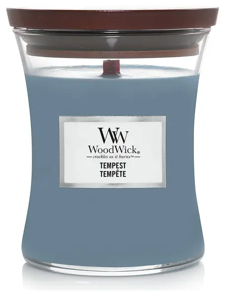 Woodwick Woodwick Medium Jar Candle - Tempest