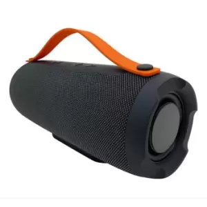 Wireless Boom Speaker