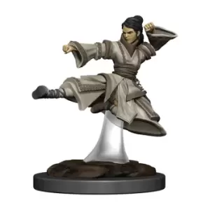 D&amp;D Icons of the Realms Premium Miniature pre-painted Human Monk Female Case (6)