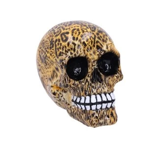 Wild (Medium - Pack of 6) Leopard Print Skulls